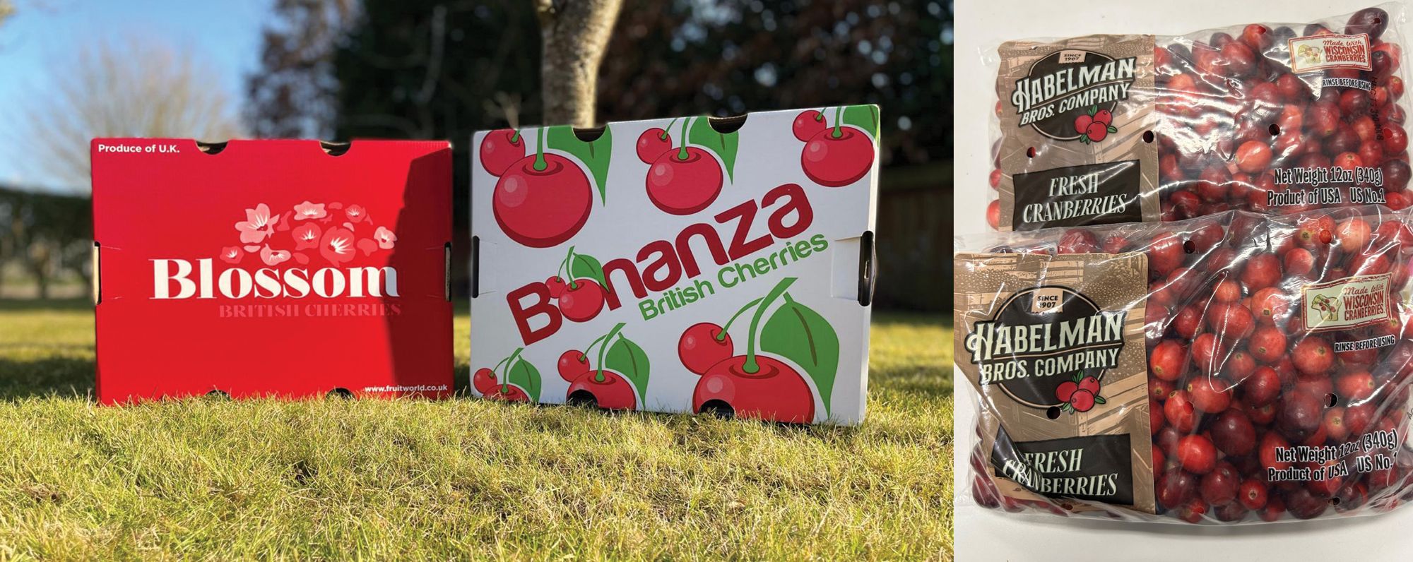Blossom and Bonanza Cherries